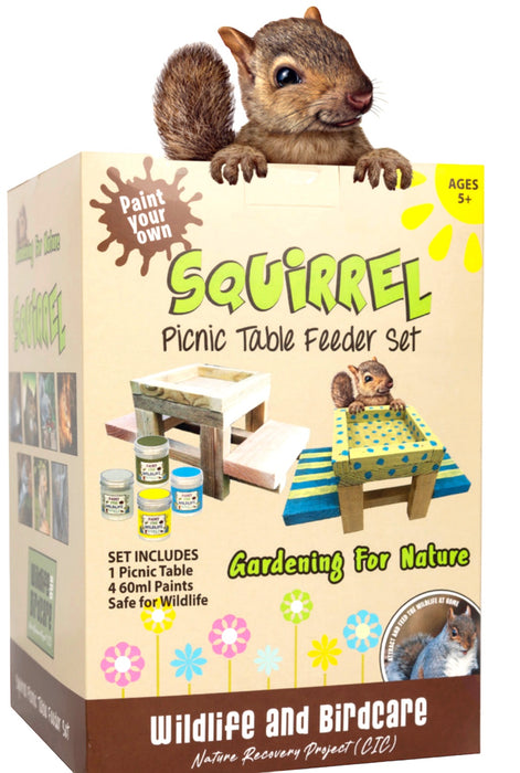 Paint your Own Squirrel Picnic Table
