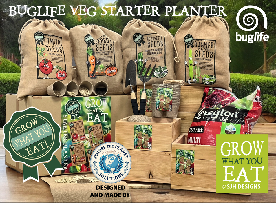 Buglife Vegetable Starter Planter Set