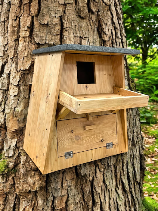 Barney Barn Owl Box