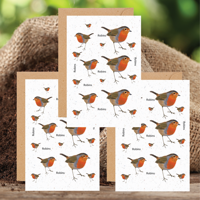 Robin Seed Cards