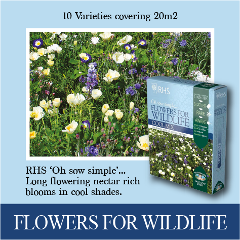 RHS Shake and Sow Flowers for Wildlife Cool Mix