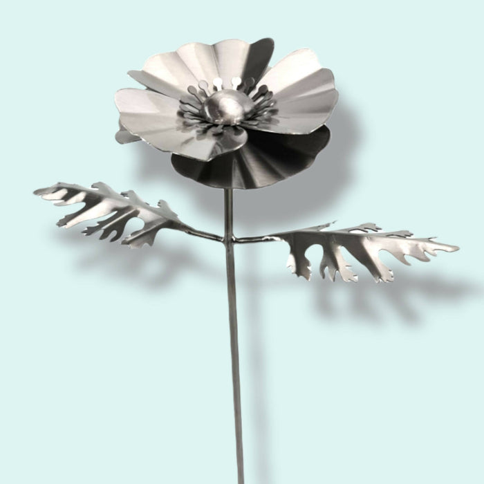 Large Poppy
