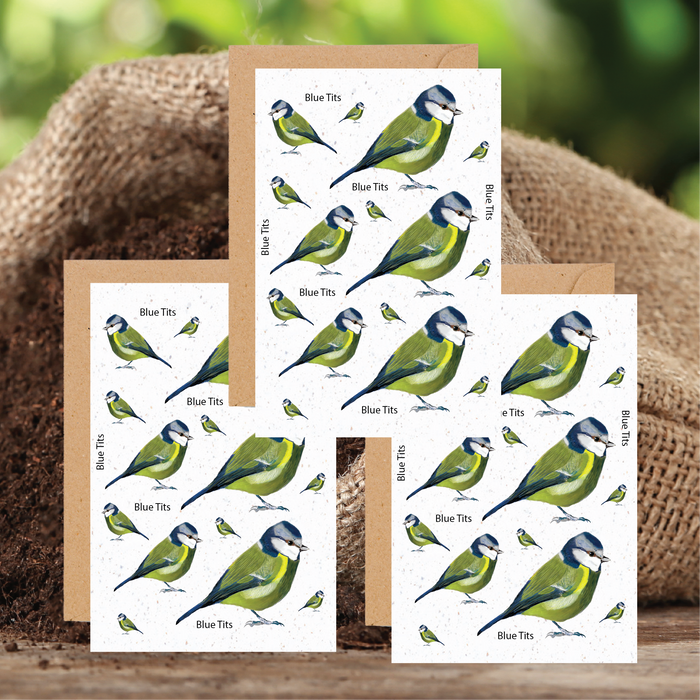 Blue Tit Seed Cards