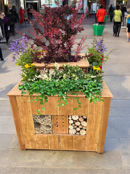 Goliath Biodiversity Tree & Flower Planting System