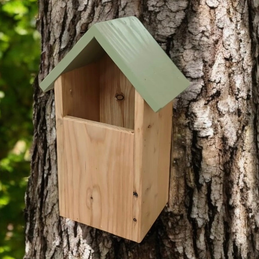 Owl Nesting Box