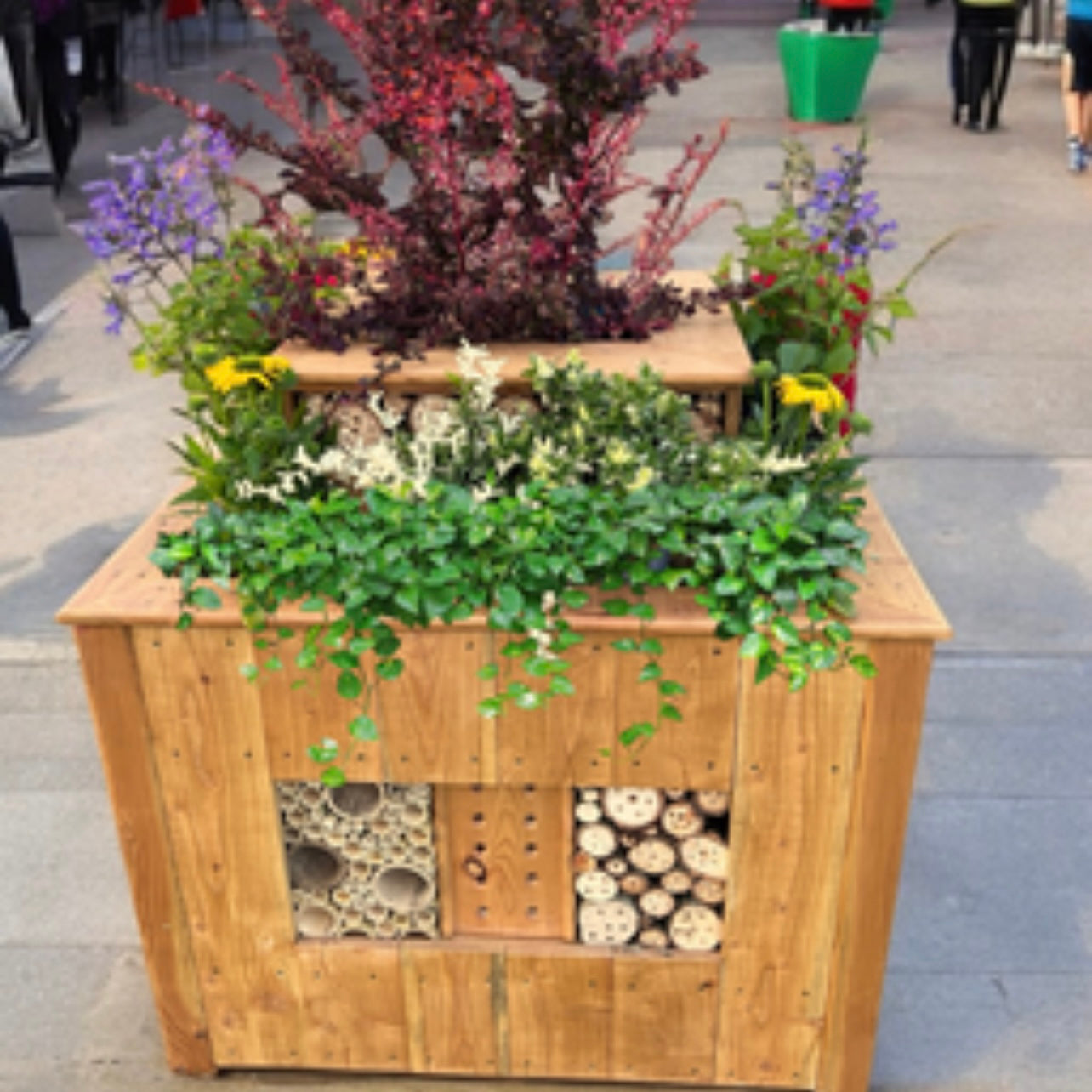 Bug Hotels, Bee and Butterfly Houses