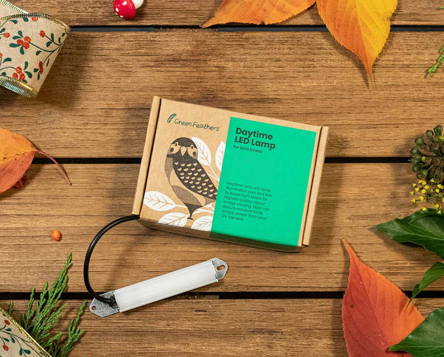 Daytime LED Lamp