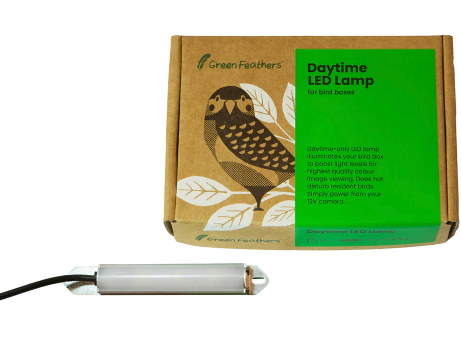 Daytime LED Lamp
