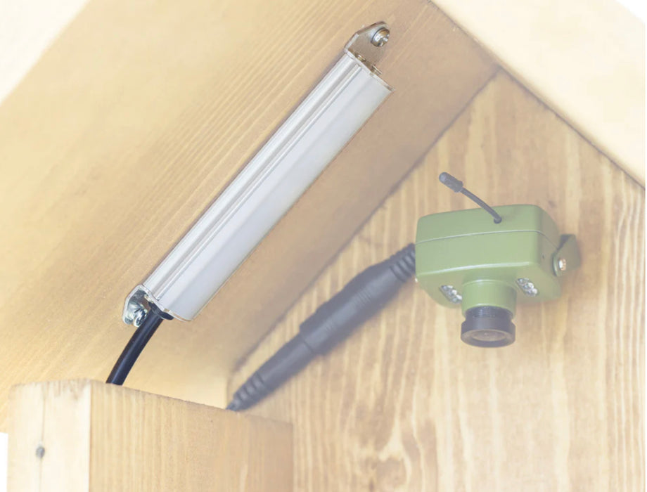 Daytime LED Lamp