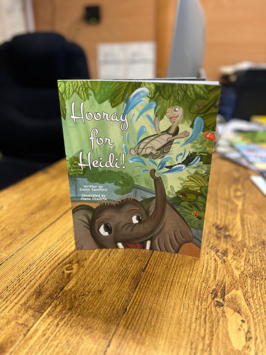 Children's Story Book Bundle