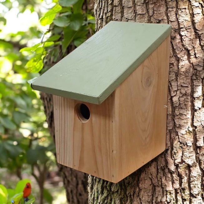 Daisy Nest Box by SJHDesigns