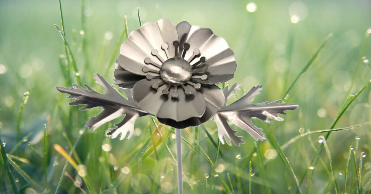 Small Poppy