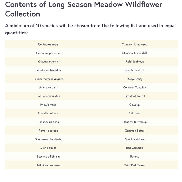 Long Season Plug Plant Collection 