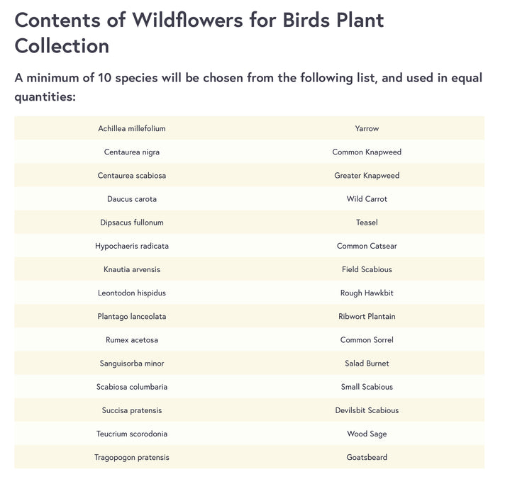 Wild Bird Plug Plant Collection 
