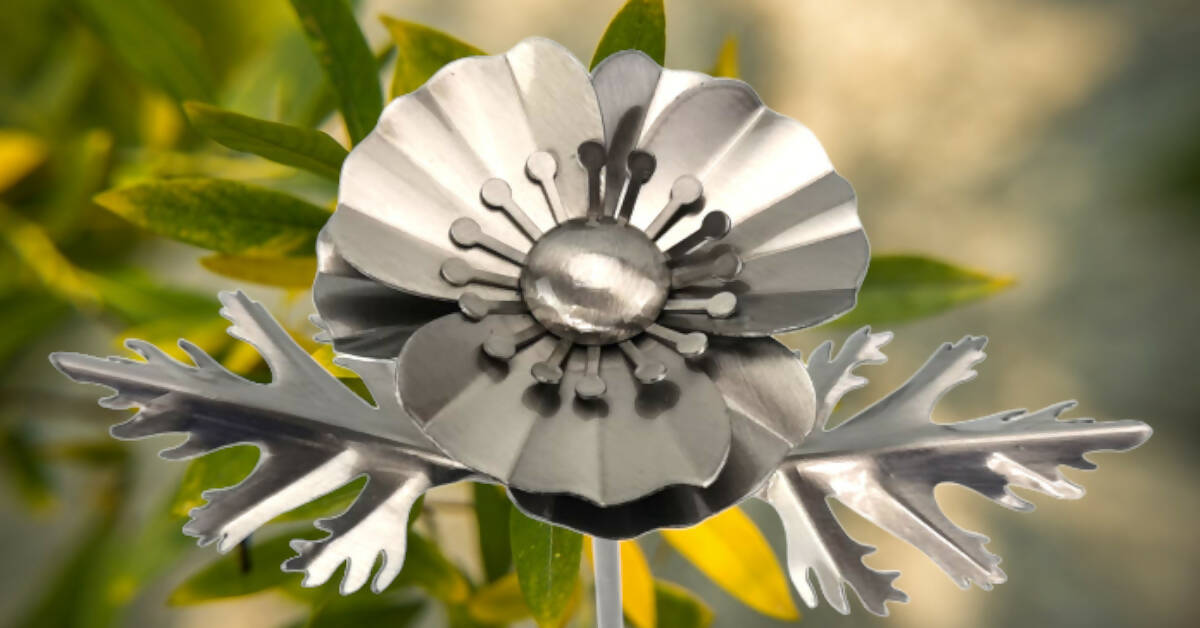 Small Poppy