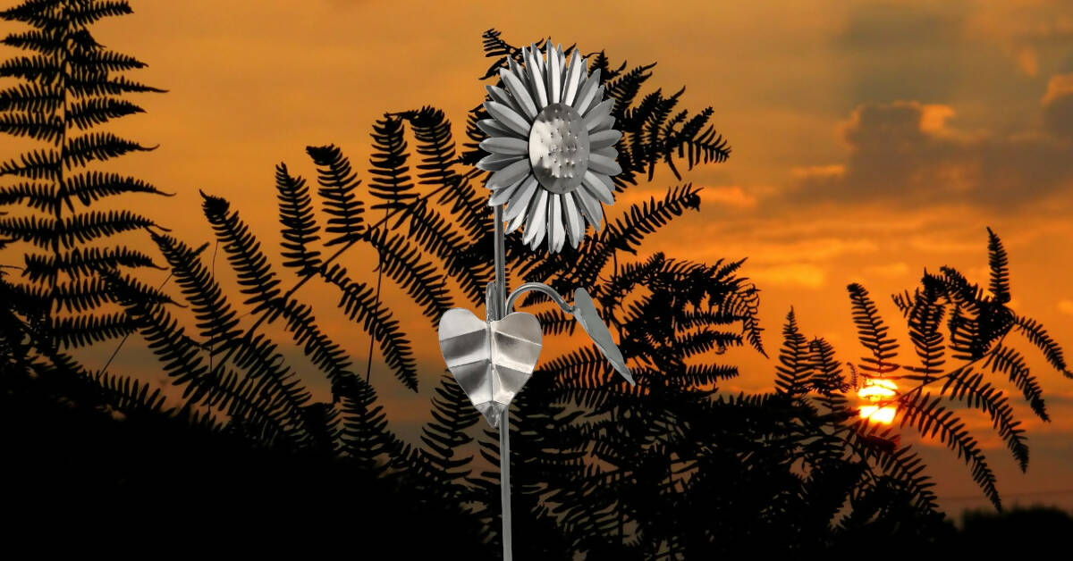 Small Sunflower