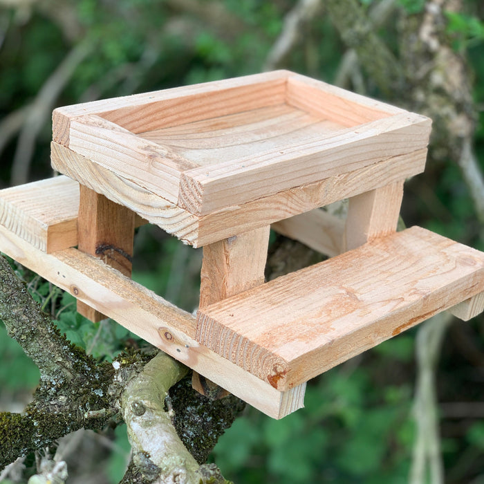 Squirrel Picnic Table