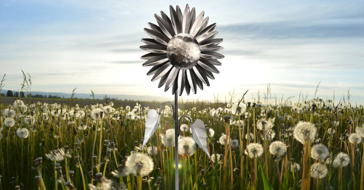 Large Sunflower