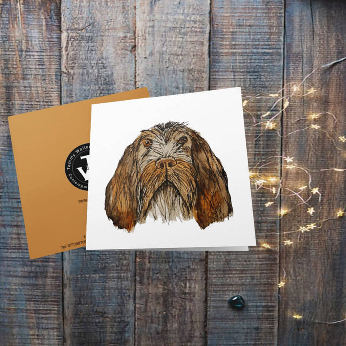 Spinone Italiano Greetings Card