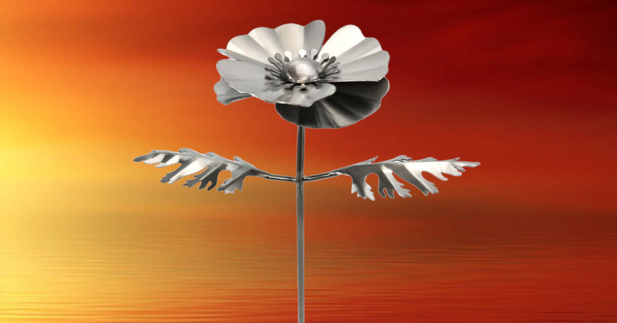 Large Poppy