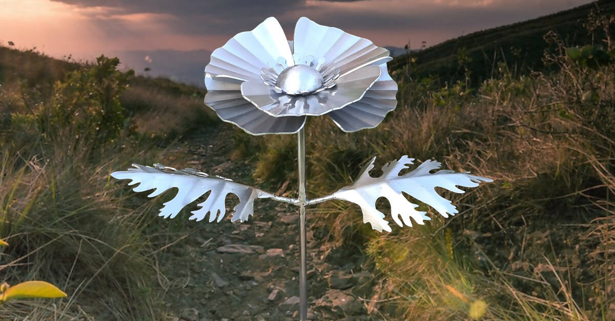 Large Poppy