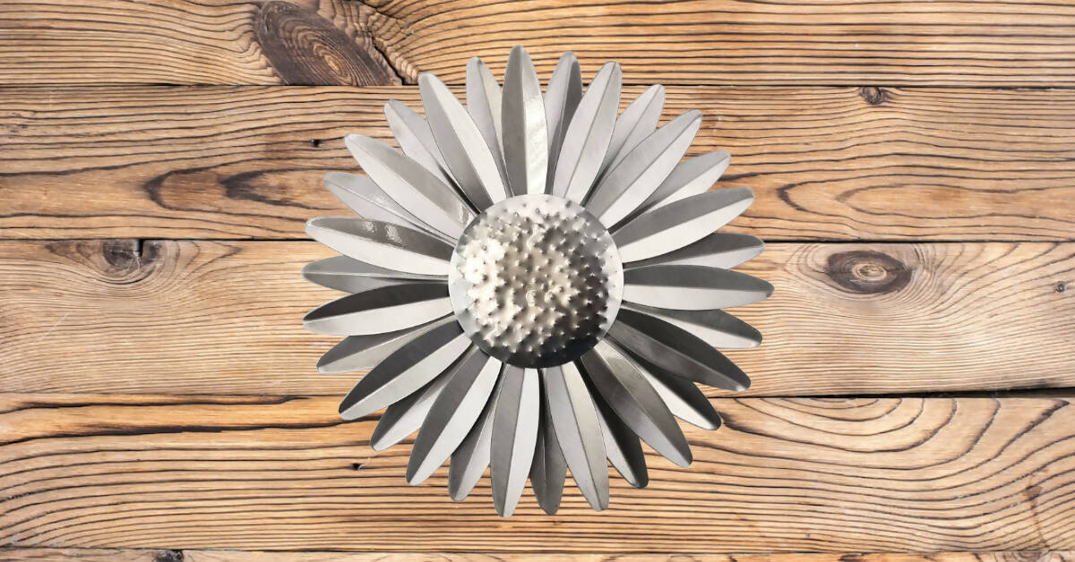 Large Sunflower Head